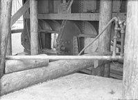 Segmens-tiltók fészkei a behelyezett csapágytengelyekkel, 1940. október 2.