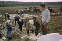 2000. évi árvíz a Tiszán - Tiszadob
